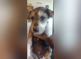 Ruby sucht ihr Abenteuer