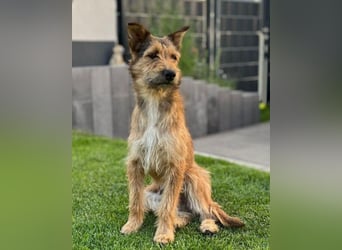 Peaches ❤️ wartet in 51143 Köln