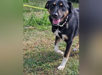Jerry ist mein Name – und warte in PLZ 69509 auf Besuch von DIR