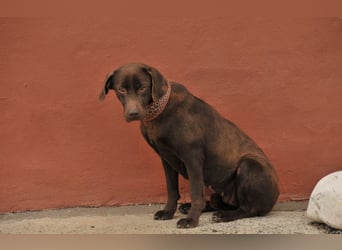 Helfen Sie Bruni dabei, endlich ihr Glück zu finden?