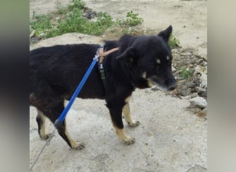 Notfall Gnadenplatz gesucht