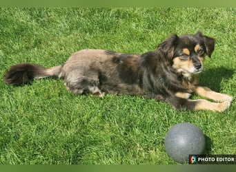 Jena, kleine Zaubermaus sucht ihr Zuhause