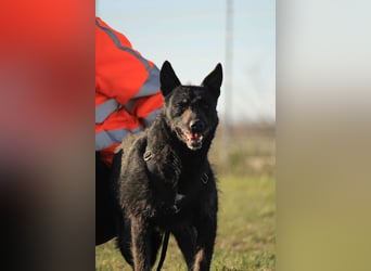 Ninja-PP, unsicherer Schönling sucht sicheren Hafen!