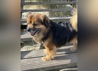 Maks – klein, aber oho! (44869 Bochum)
