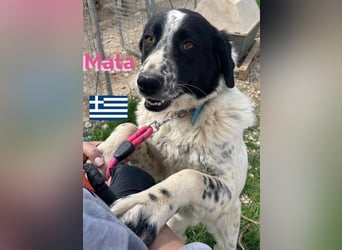 Mata, 09/23 - hübsche Begleiterin sucht ihren Menschenfreund