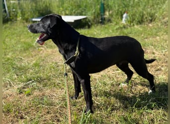 Loco, 24.03.2024 geboren, 43cm sucht sein Zuhause