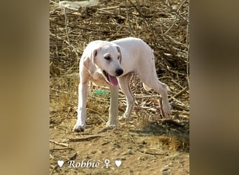 Roberta und Robbie, f.,  suchen eine Familie