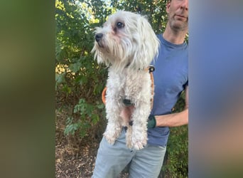 Casper, geboren 06.12.2023, 24cm sucht seine Menschen