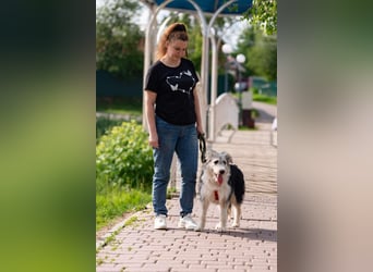Verschmuste Lichi sucht ihre Menschen
