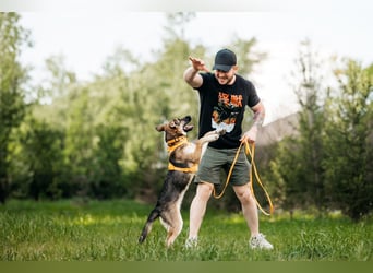 Besondere Deya sucht warmes Körbchen