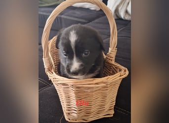 Sie sind endlich da 4 Mädels und 5 Jungs