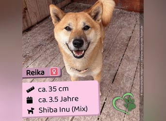 Reika