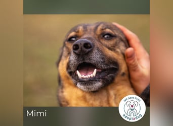Mimi: Mit einem Lächeln ins Glück