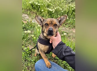Kleine Gina sucht ein verständnisvolles Zuhause
