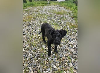 Eléa – Kleine Entdeckerin mit großem Herz sucht Zuhause