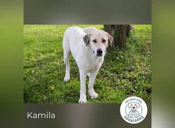 Kamila: Ruhige, liebe Seele
