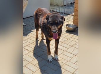 Lucky: wer lässt seine Augen strahlen