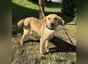 Lilo eine freundliche kleine Prinzessin