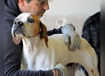 Alville - War Treue nie genug?