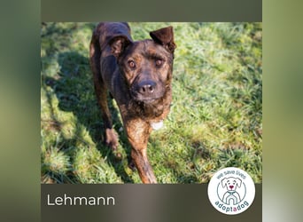 Lehmann: erzählt seine Geschichte