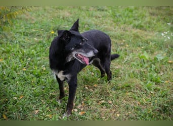 Miky: Sucht dich!