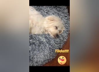 Tilda - die Süße!