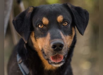 Mico ❤️ aufgeschlossen & verkuschelt!