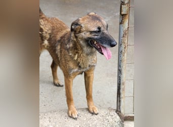 Kuckuck, zauberhafte NISHA sucht liebevolle Familie