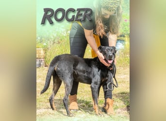 Roger – ein feiner und lieber Freund