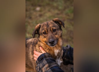 Mimi: Mit einem Lächeln ins Glück