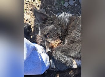 Bonnie sucht ihr eigenes Zuhause