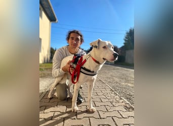 Schüchterner Lucas sucht einfühlsame Familie