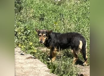 Sienna wartet schon so lange