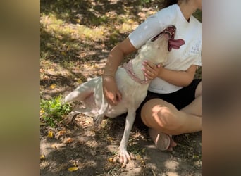 ANGEL - Einzelprinzessin in weiß sucht ihren Prinz!