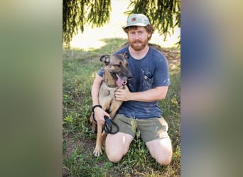 MARLEE - die aktive und verspielte Hündin freut sich auf tolle Abenteuer mit ihrer Familie