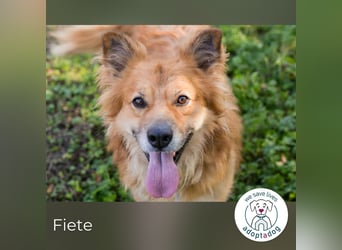 Fiete: Verwandlung durch Verständnis
