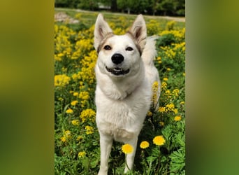 Hallo, ich bin Bella!