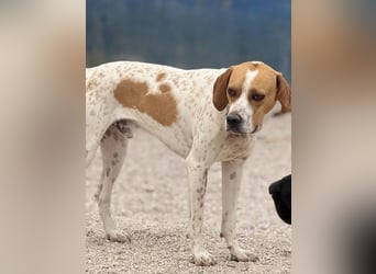 Cooper, hofft auf eine Chance