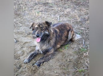 Maddox auf der Suche nach dem großen Glück
