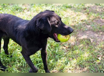 Gonza – Bewegungs-Fan sucht Nähe