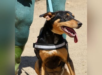 Amy, offen, neugierig und intelligent