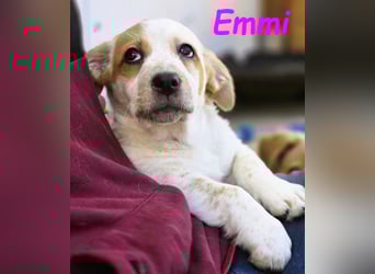 Emmi 01/2025 (ESP) - verschmustes und neugieriges, bezauberndes kleines Mädchen!