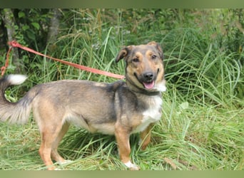 Zauberhafte kleine Henriette wünscht sich ein Zuhause