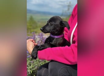 Trudi – eine Freudin fürs Leben