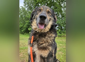 Morti sucht ein neues Zuhause