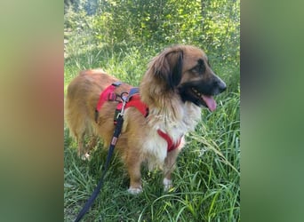 Besuche Grace in 86825 Bad Wörishofen ❤