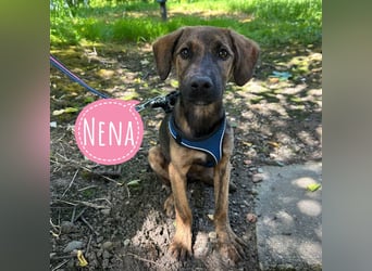 Nena ein kleiner Engel