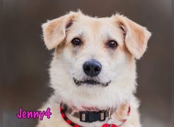 Jenny4 geb. 01/2018 - bezaubernde und super liebe, kleine Wuschelhündin!