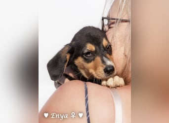 Jackie/Enya sucht ihre Familie ab Oktober