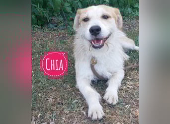Chia ein besonderes Mädchen
